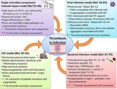 Understanding Infection-Induced Thrombosis: Lessons Learned From Animal Models